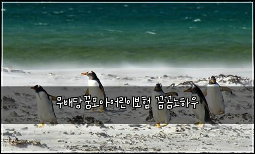 무배당꿈모아어린이보험 꼼꼼노하우 