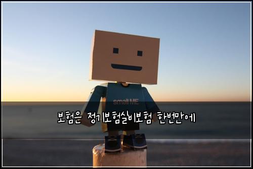 보험은 정기보험실비보험 한번만에