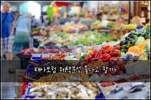 태아보험 혜택분석  좋다고 할까