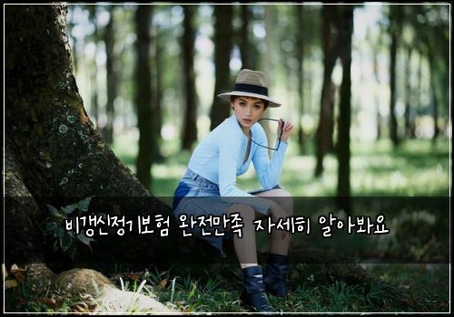 비갱신정기보험 완전만족  자세히 알아봐요