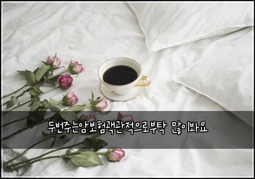 두번주는암보험괙관적으로부탁 많이봐요