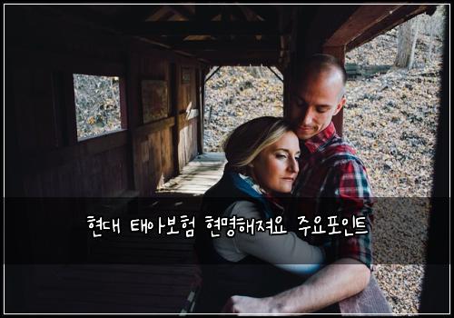 현대 태아보험 현명해져요  주요포인트