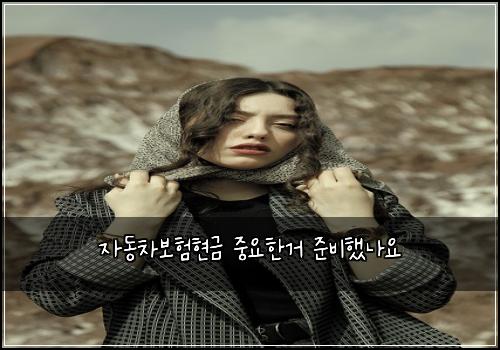 자동차보험현금 중요한거 준비했나요