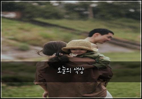 오늘의 색상
