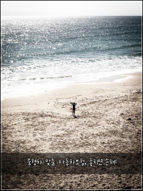 중형차 맞춤 자동차보험, 놓치면 손해!