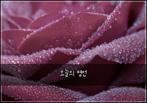오늘의 명언