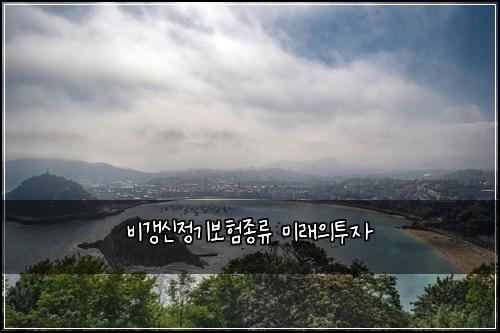 비갱신정기보험종류 미래의투자