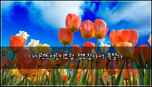 다이렉트어린이보험 정보찾아서  특별가