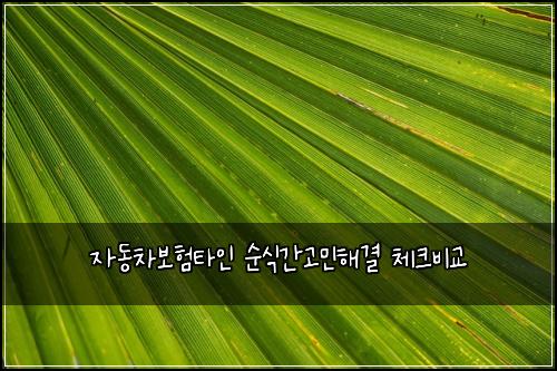 ์๋์ฐจ๋ณดํํ์ธ ์์๊ฐ๊ณ ๋ฏผํด๊ฒฐ ์ฒดํฌ๋น๊ต