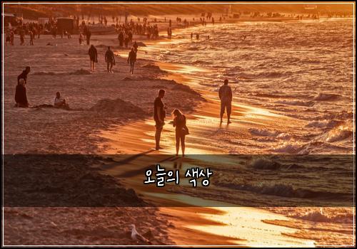 오늘의 색상