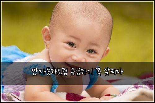 싼자동차보험 유념하기  꼭 살피자