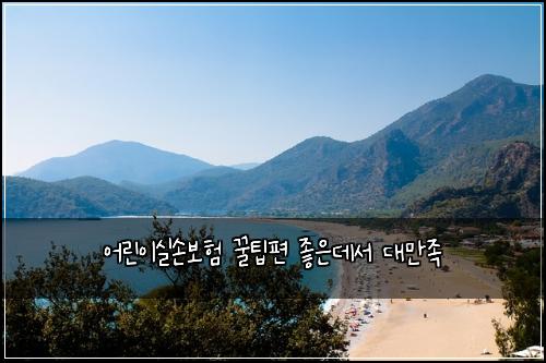 어린이실손보험 꿀팁편  좋은데서 대만족