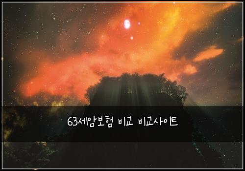 63세암보험 비교  비교사이트