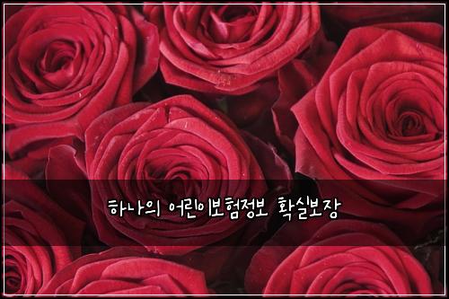 하나의 어린이보험정보 확실보장