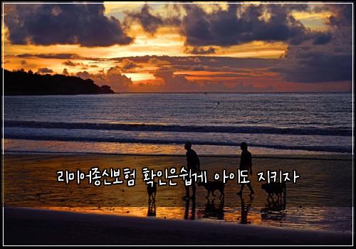 리미어종신보험 확인은쉽게  아이도 지키자