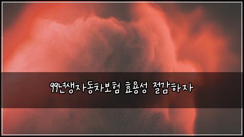 99년생자동차보험 효용성  절감하자