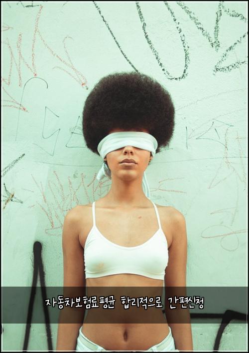 자동차보험료평균 합리적으로 간편신청