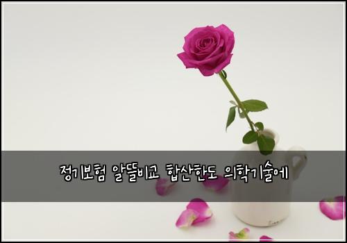 정기보험 알뜰비교  합산한도 의학기술에