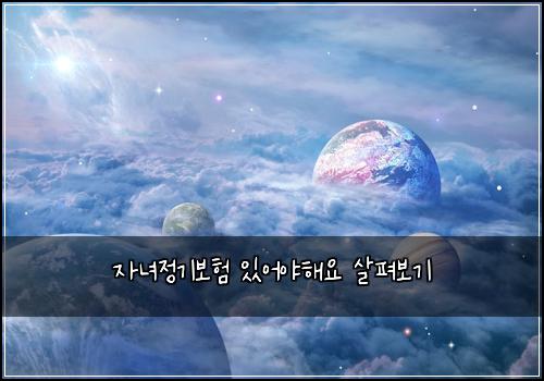 자녀정기보험 있어야해요  살펴보기