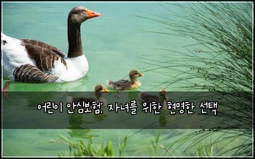 어린이 안심보험: 자녀를 위한 현명한 선택