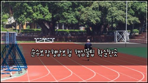 순수보장형암보험 핵심꿀팁  확실한곳