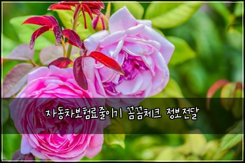 ģė차볓ķė£ģ¤ģ“źø° ź¼¼ź¼¼ģ²“ķ¬ ģ 볓ģ ė¬