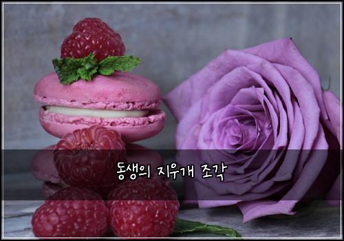 동생의 지우개 조각