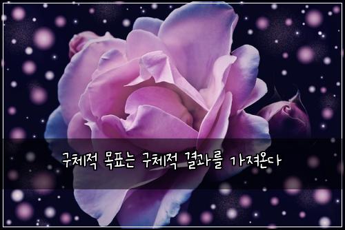 ๊ตฌ์ฒด์ ๋ชฉํ๋ ๊ตฌ์ฒด์ ๊ฒฐ๊ณผ๋ฅผ ๊ฐ์ ธ์จ๋ค
