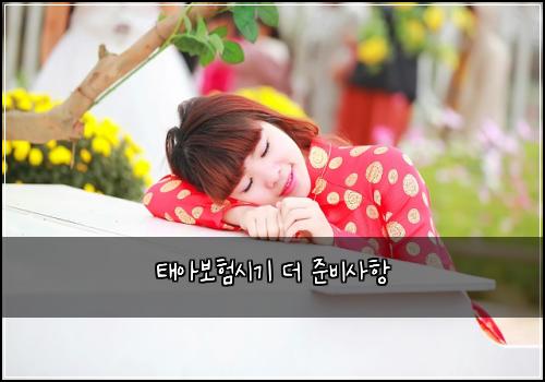 태아보험시기 더 준비사항