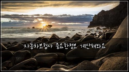 ์๋์ฐจ๋ณดํ์ฌ ์ค์ํ์ ๋ณด ๊ณ์ฐํด๋ด์