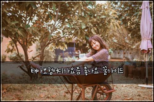 태아보험어디가요즘 좋나요 꿀가이드