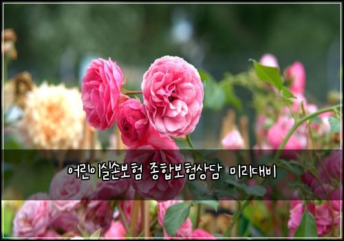어린이실손보험 종합보험상담 미리대비