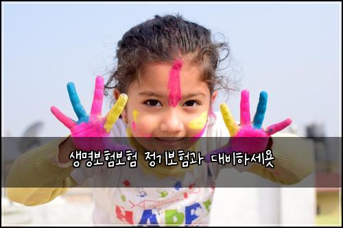 생명보험보험 정기보험과 대비하세욧