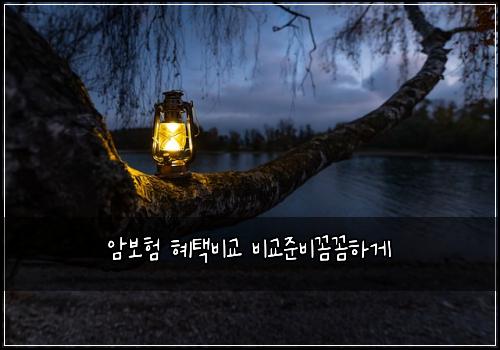 암보험 혜택비교  비교준비꼼꼼하게