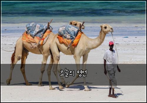 오늘의 명언