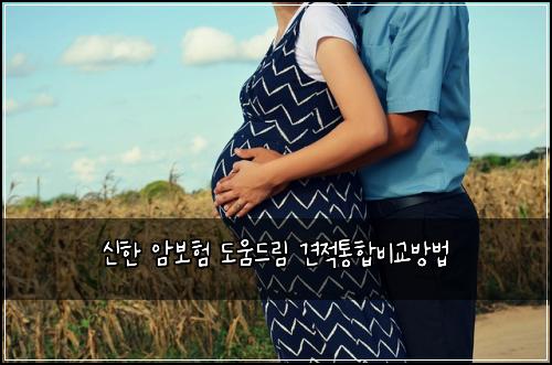์ ํ ์๋ณดํ ๋์๋๋ฆผ ๊ฒฌ์ ํตํฉ๋น๊ต๋ฐฉ๋ฒ