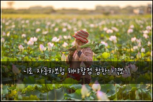 ๋๋ก ์๋์ฐจ๋ณดํ ํด์ผํ ์ ์ฐธํ๊ฐ๊ฒฉ๋ณด๊ธฐ