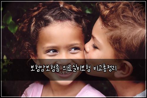 보험암보험좀 의료실비보험 비교총정리