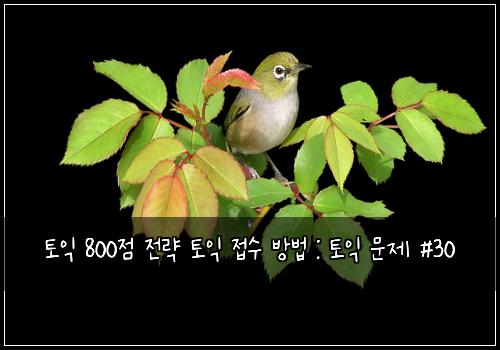 토익 800점 전략 토익 접수 방법 : 토익 문제 #30