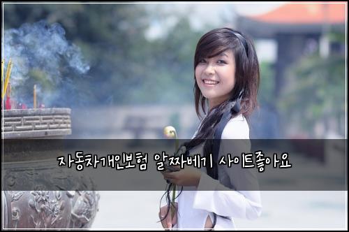 자동차개인보험 알짜베기  사이트좋아요