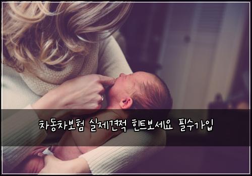 차동차보험 실제견적  힌트보세요 필수가입
