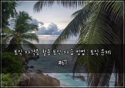 토익 자격증 활용 토익 자습 방법 : 토익 문제 #67