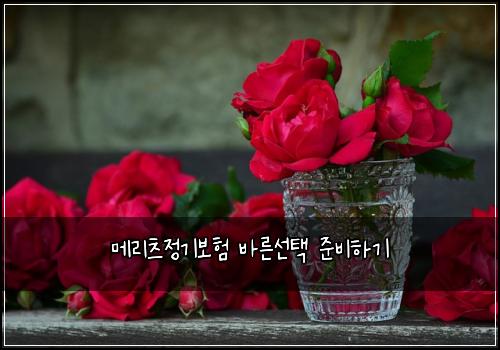 메리츠정기보험 바른선택  준비하기