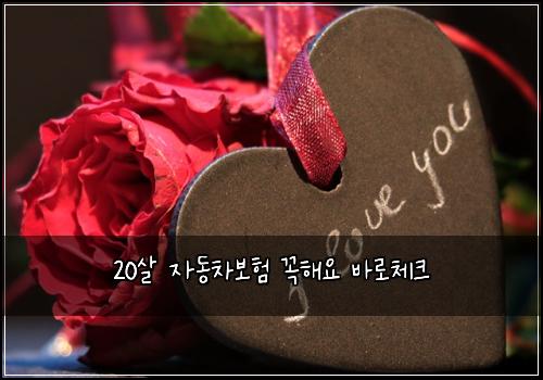 20살 자동차보험 꼭해요  바로체크