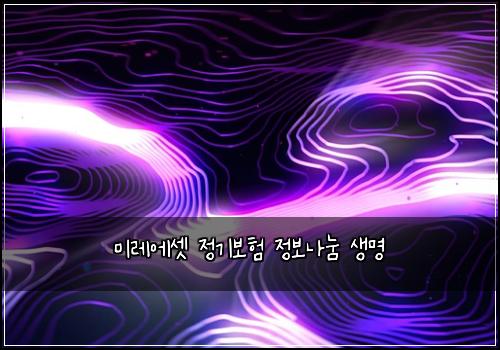 미레에셋 정기보험 정보나눔  생명