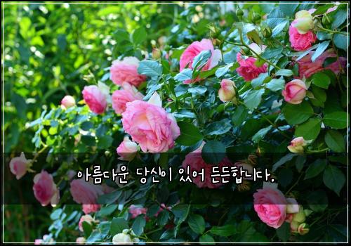 아름다운 당신이 있어 든든합니다.