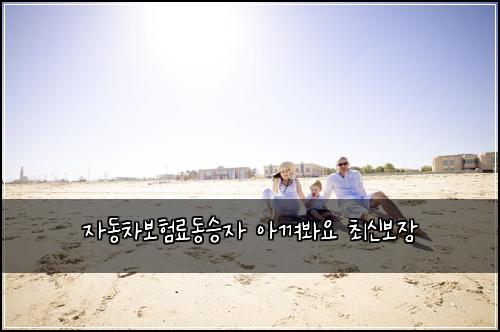 ์๋์ฐจ๋ณดํ๋ฃ๋์น์ ์๊ปด๋ด์ ์ต์ ๋ณด์ฅ