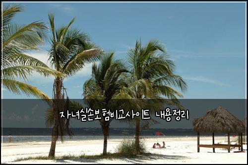 자녀실손보험비교사이트 내용정리