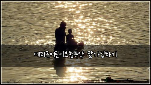 ๋ฉ๋ฆฌ์ธ ์ด๋ฆฐ์ด๋ณดํํน์ฝ ์๊ฐ์
ํ๊ธฐ