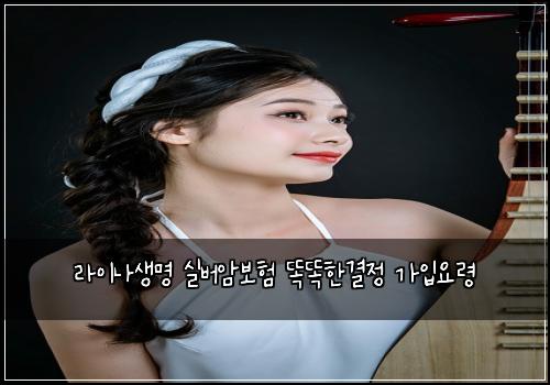 라이나생명 실버암보험 똑똑한결정  가입요령